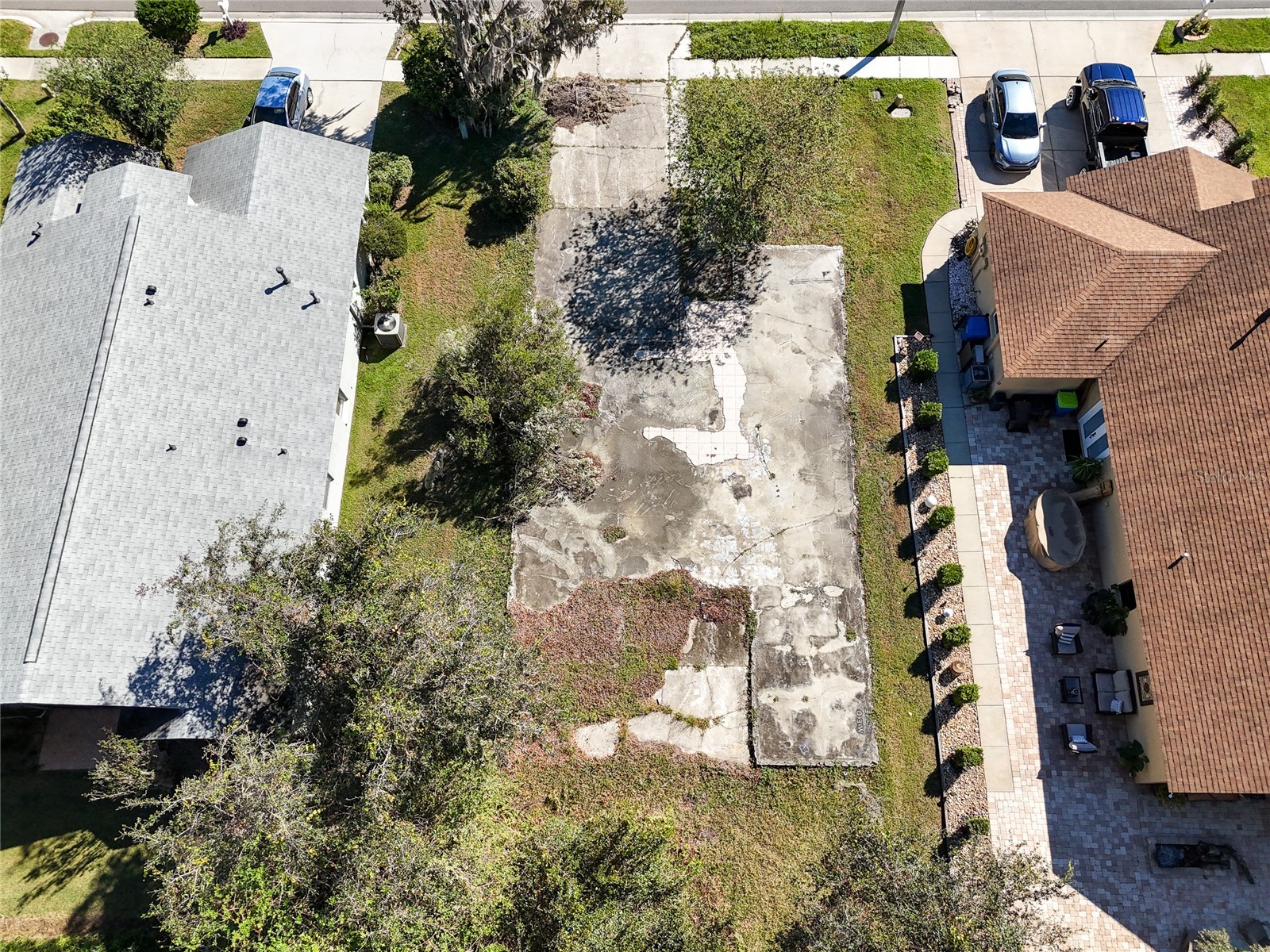 1323 Baythorn Drive Wesley Chapel FL 33543 TB8324900 image13