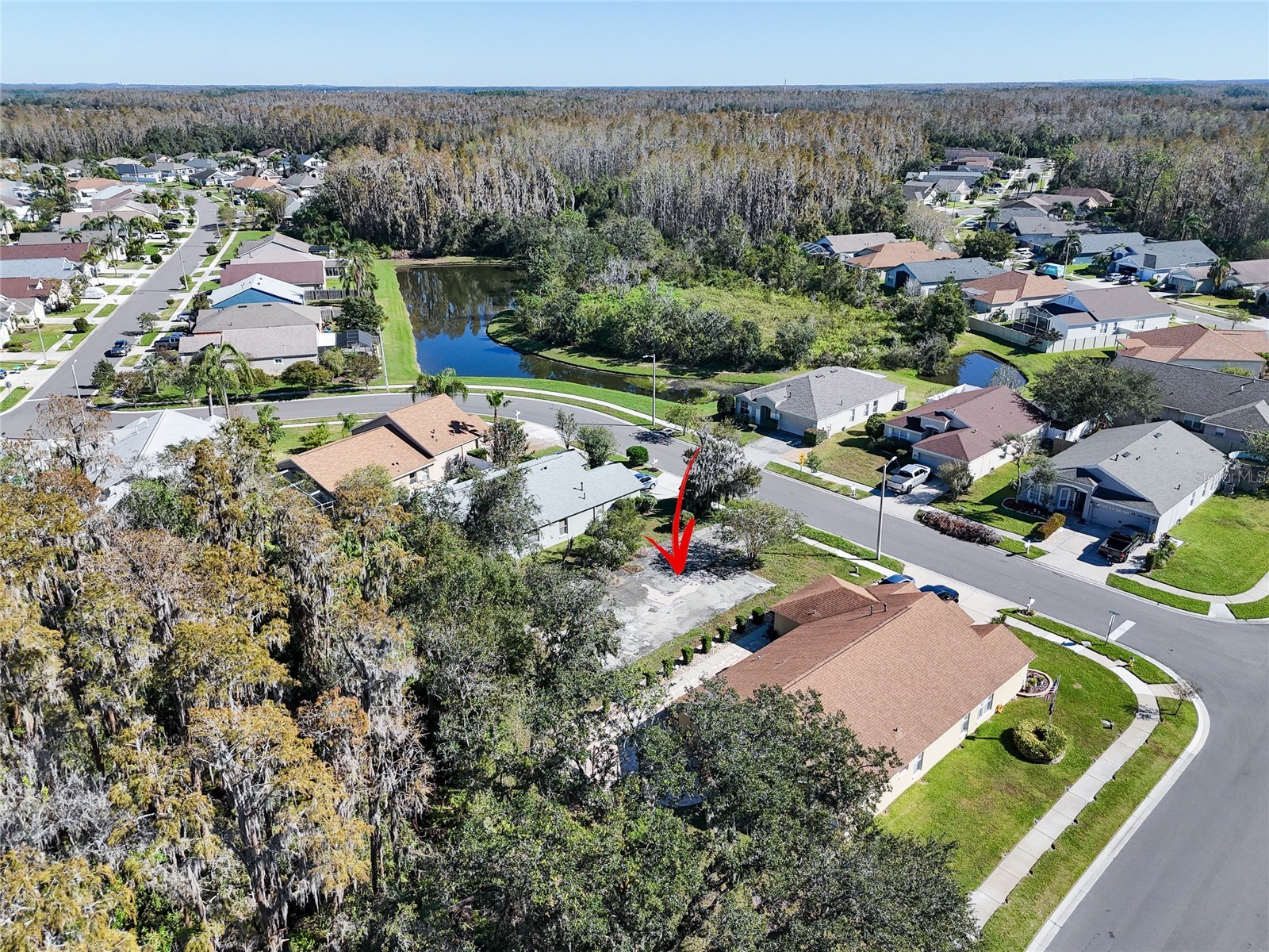 1323 Baythorn Drive Wesley Chapel FL 33543 TB8324900 image14