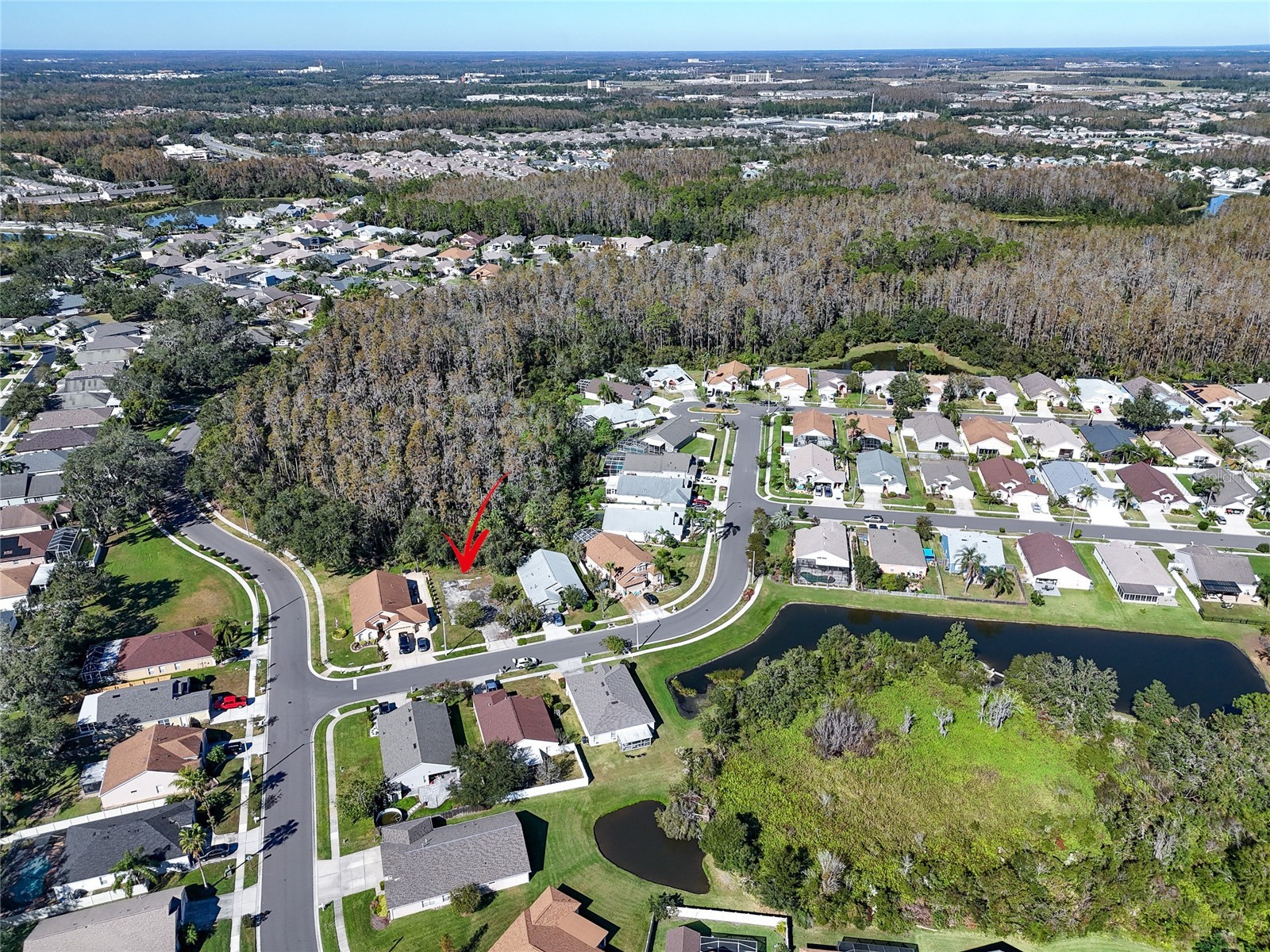 1323 Baythorn Drive Wesley Chapel FL 33543 TB8324900 image15