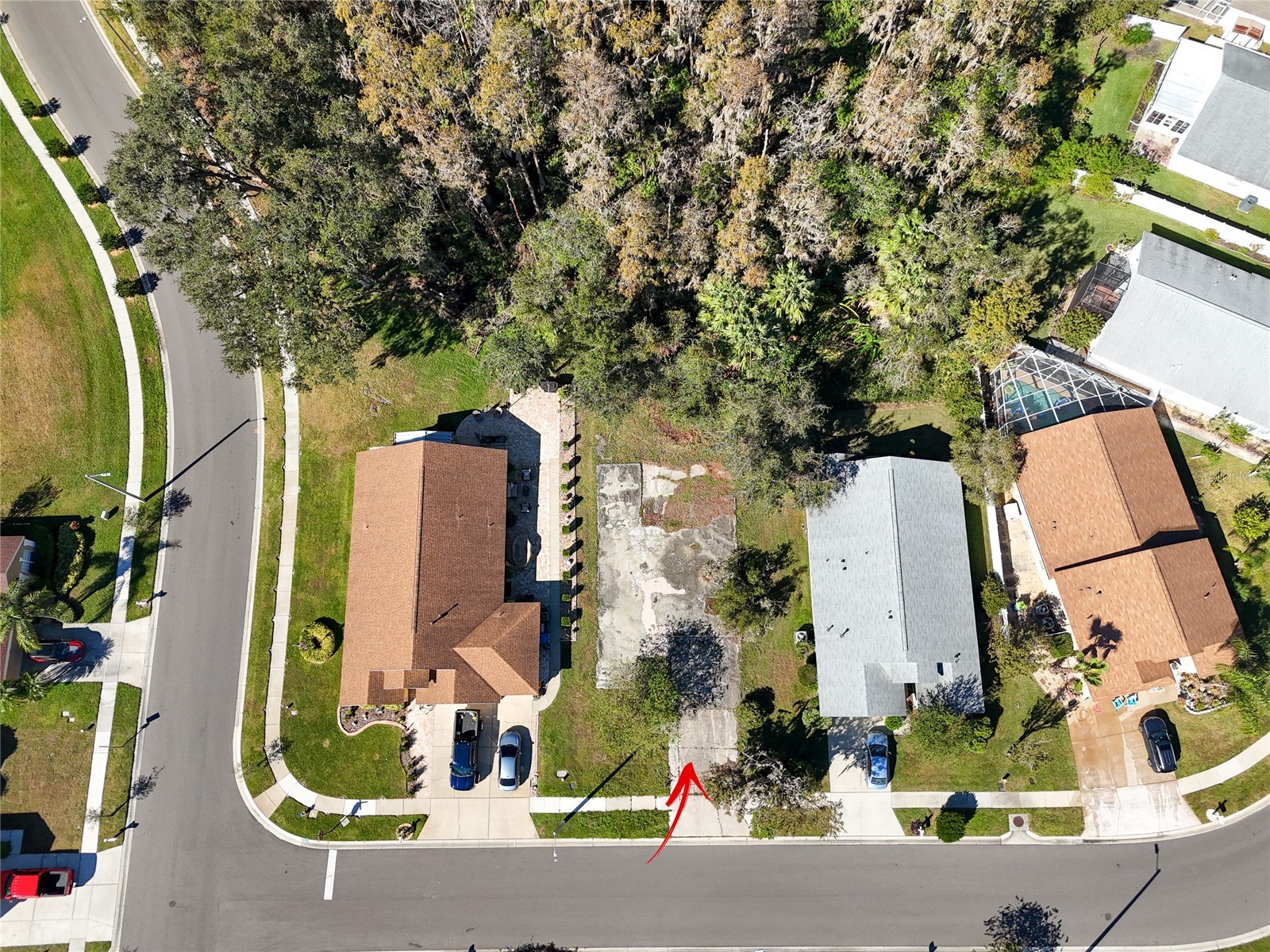 1323 Baythorn Drive Wesley Chapel FL 33543 TB8324900 image16