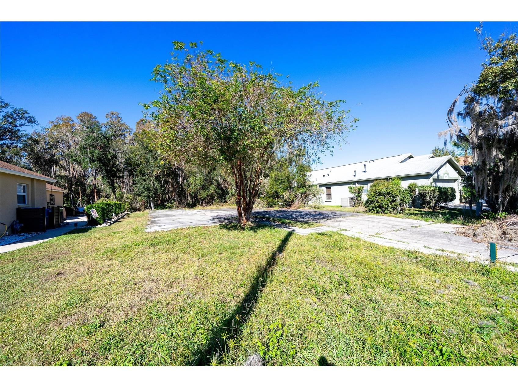 1323 Baythorn Drive Wesley Chapel FL 33543 TB8324900 image18