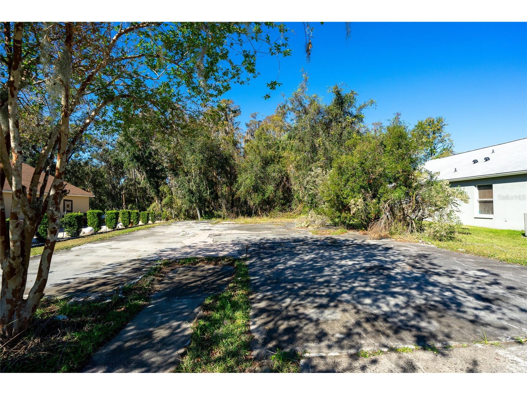 1323 Baythorn Drive Wesley Chapel FL 33543 TB8324900 image19