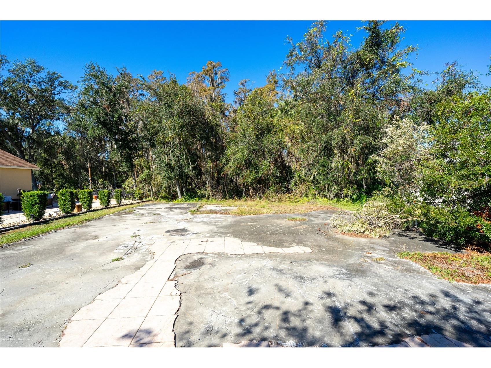 1323 Baythorn Drive Wesley Chapel FL 33543 TB8324900 image20