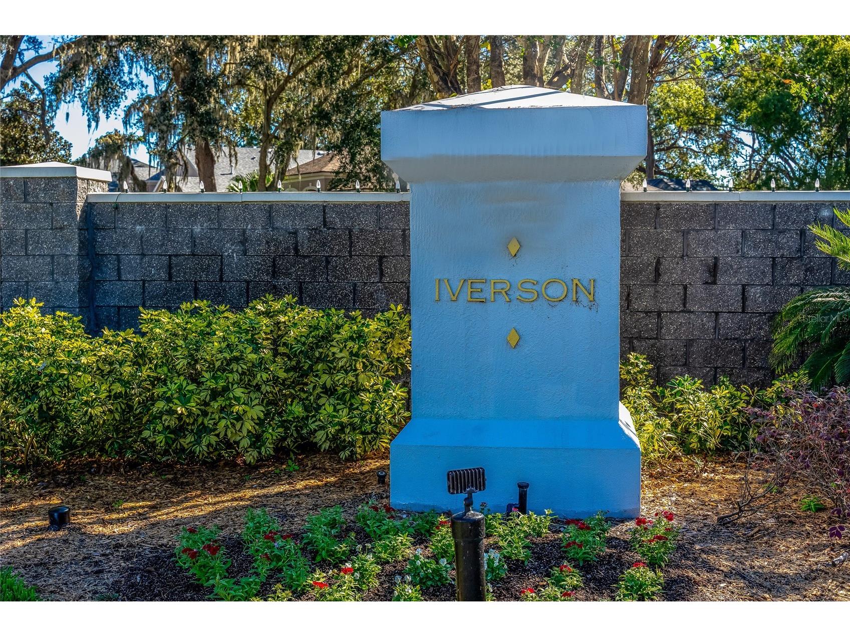 1323 Baythorn Drive Wesley Chapel FL 33543 TB8324900 image22