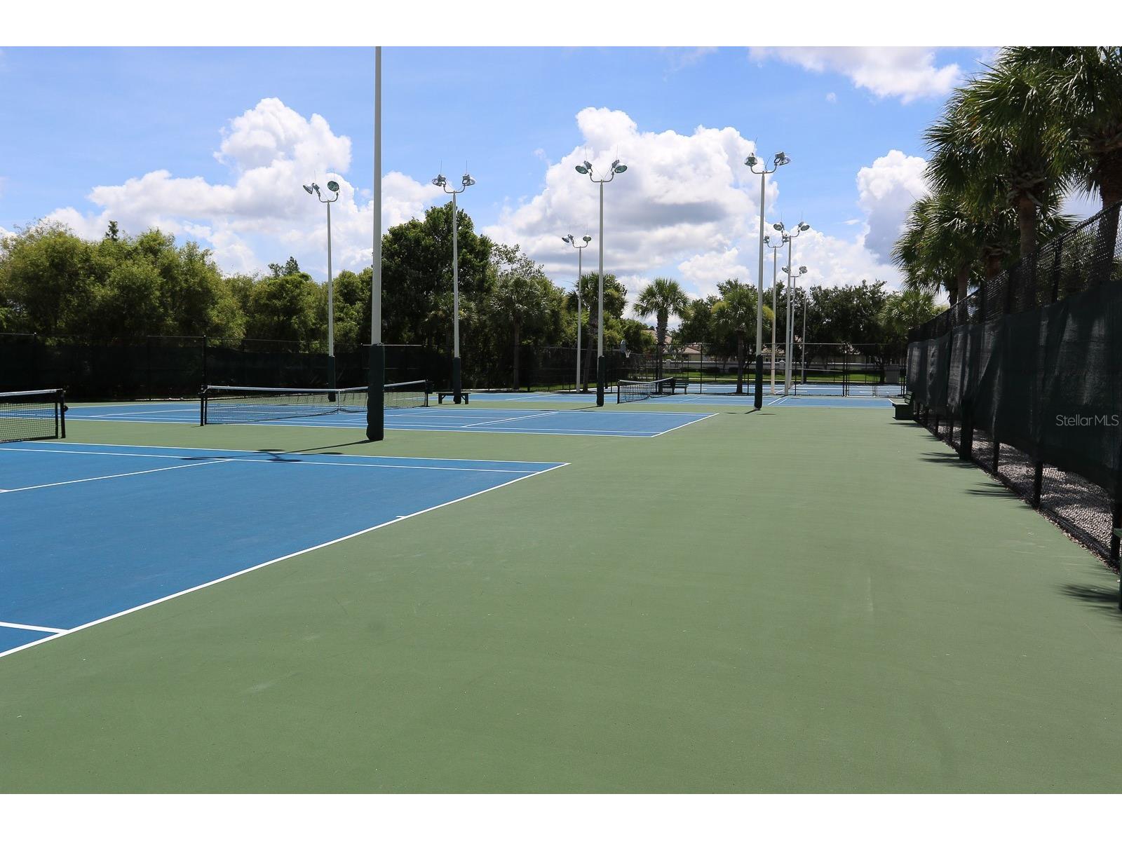 1323 Baythorn Drive Wesley Chapel FL 33543 TB8324900 image24