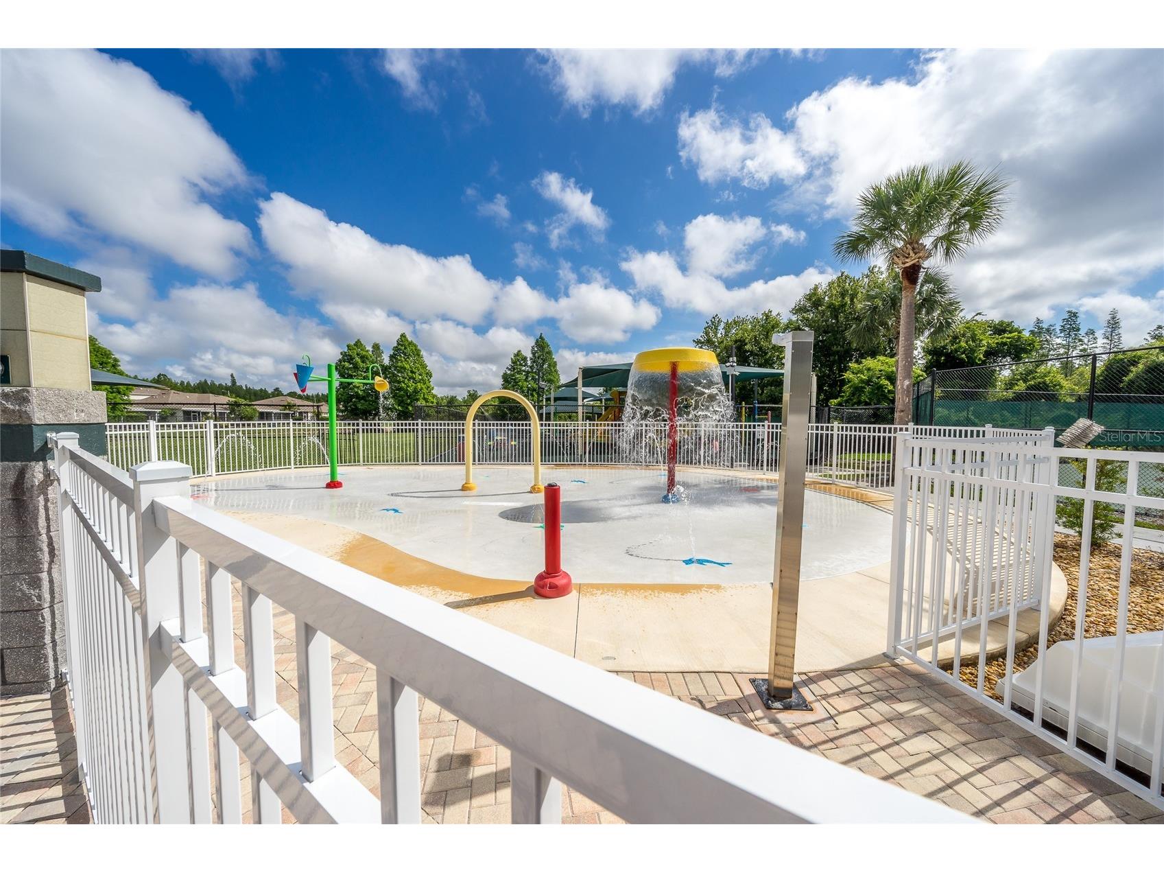 1323 Baythorn Drive Wesley Chapel FL 33543 TB8324900 image26