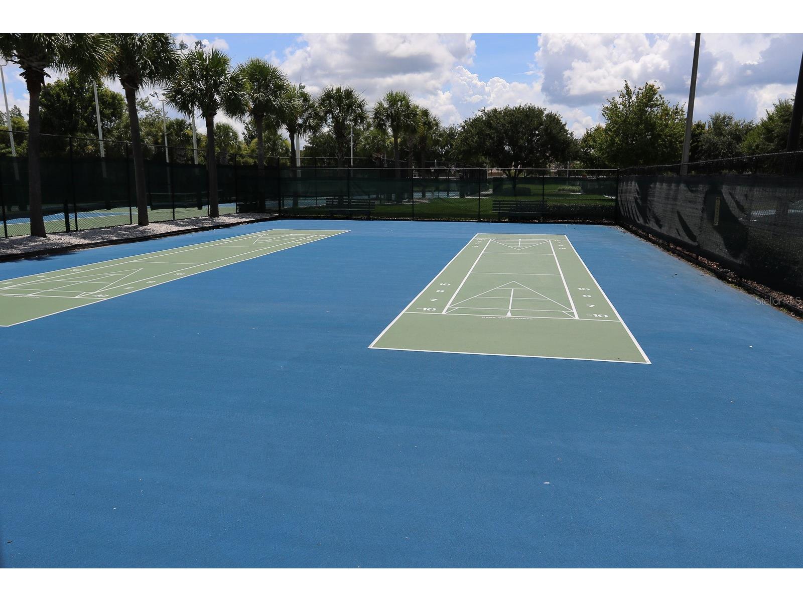 1323 Baythorn Drive Wesley Chapel FL 33543 TB8324900 image31