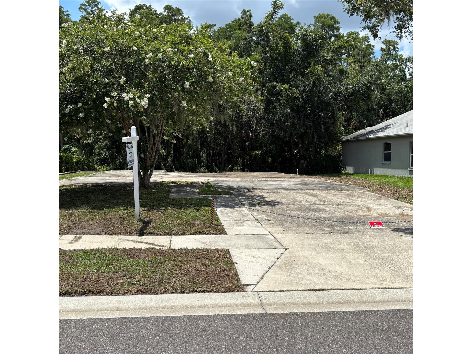 1323 Baythorn Drive Wesley Chapel FL 33543 TB8324900 image34