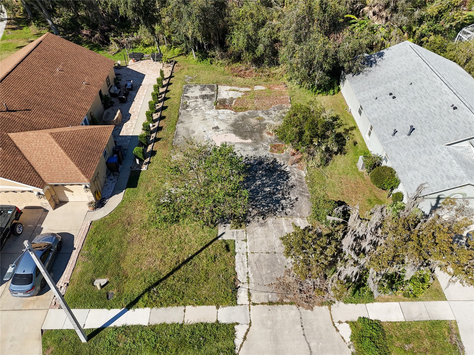 1323 Baythorn Drive Wesley Chapel FL 33543 TB8324900 image4