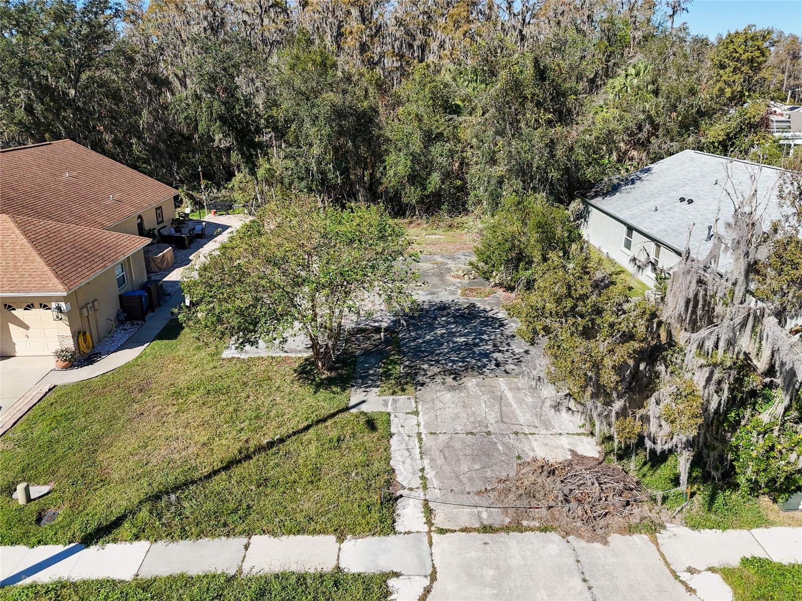 1323 Baythorn Drive Wesley Chapel FL 33543 TB8324900 image5