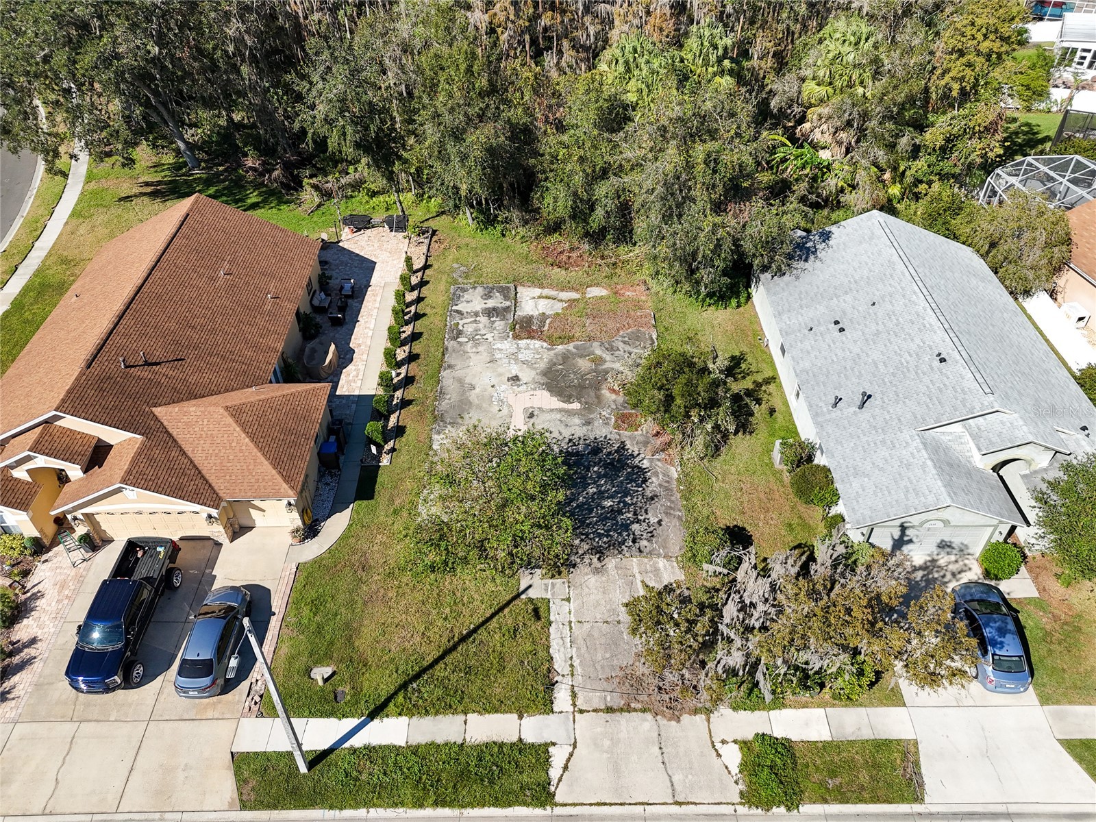 1323 Baythorn Drive Wesley Chapel FL 33543 TB8324900 image6