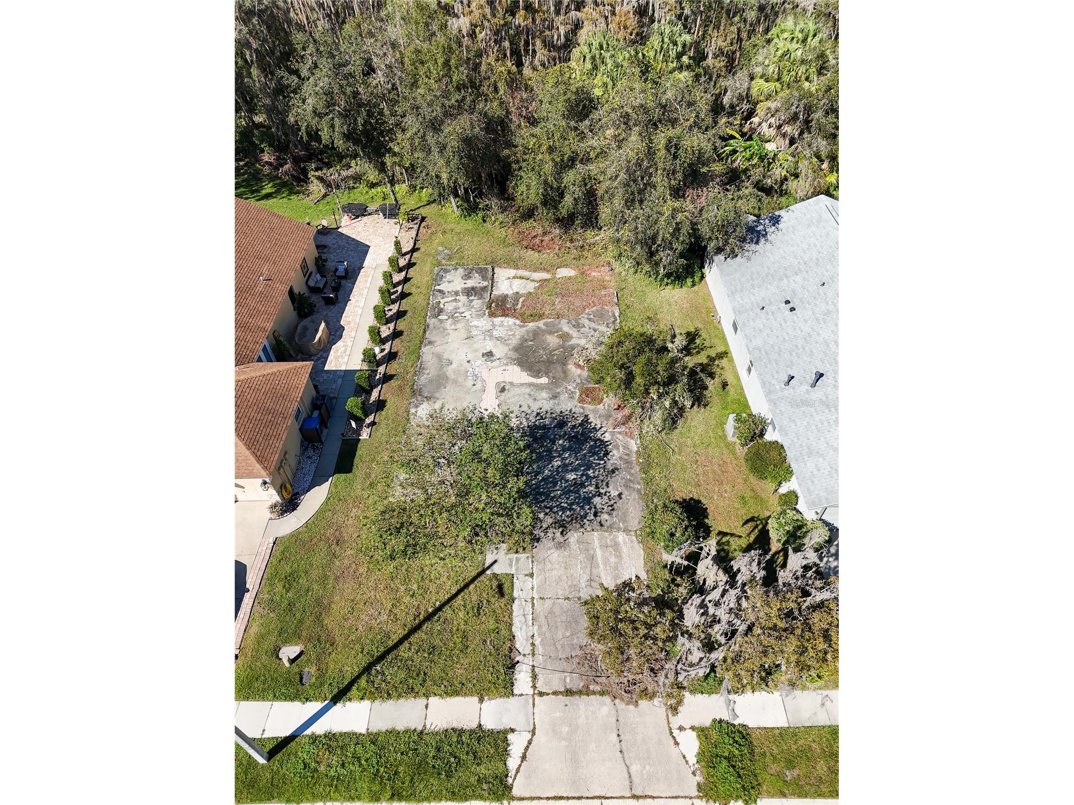 1323 Baythorn Drive Wesley Chapel FL 33543 TB8324900 image7