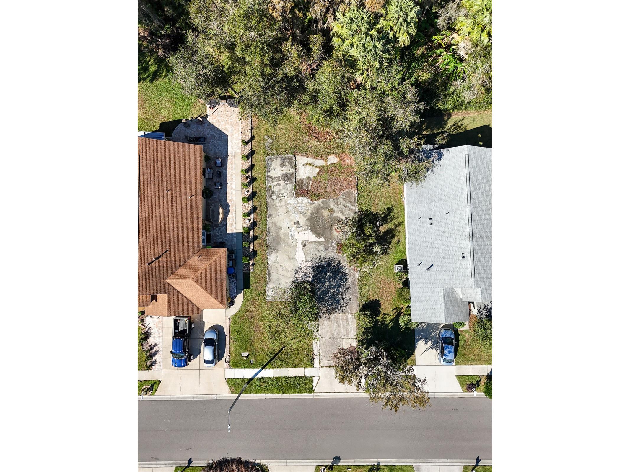 1323 Baythorn Drive Wesley Chapel FL 33543 TB8324900 image8