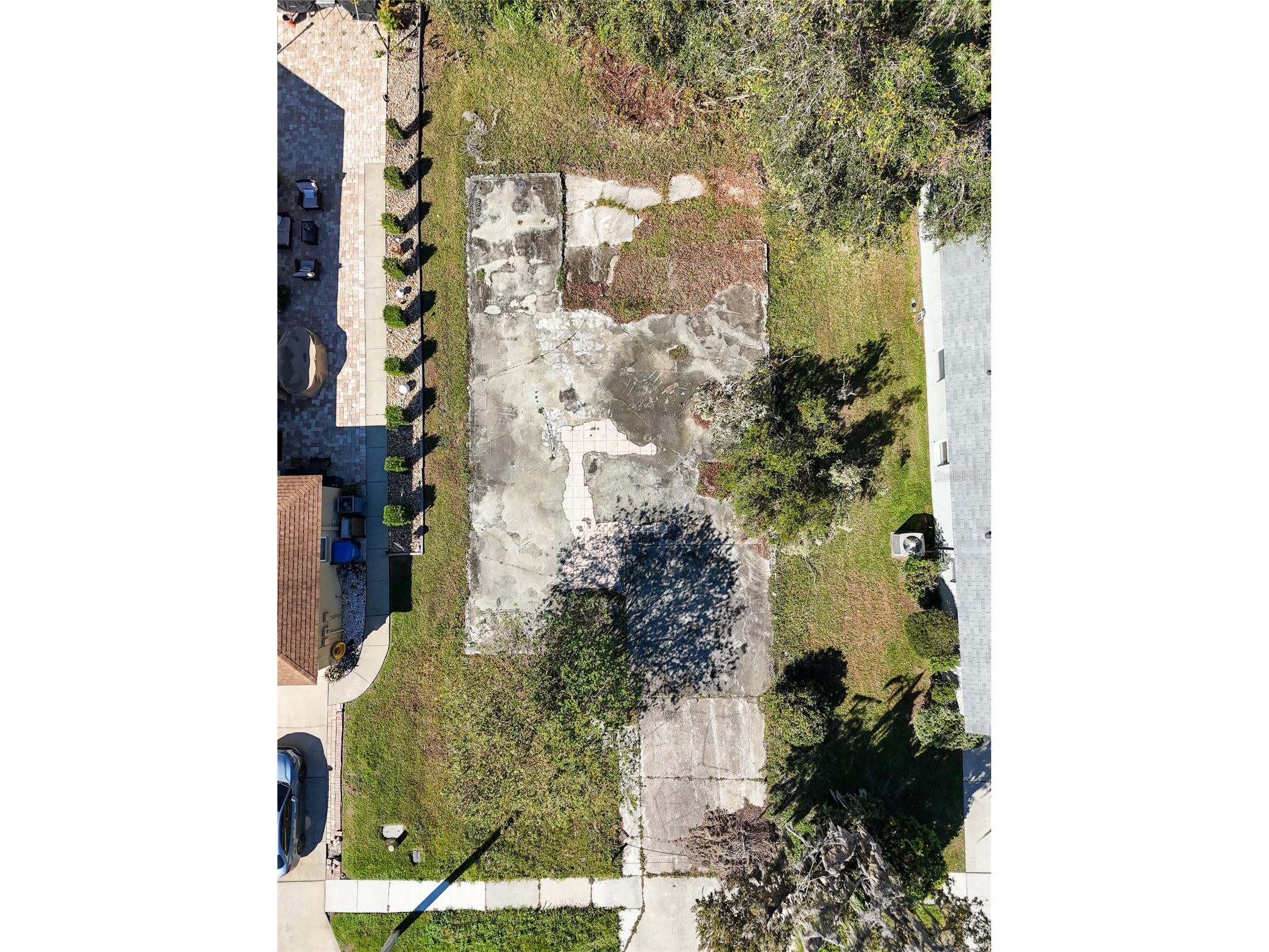 1323 Baythorn Drive Wesley Chapel FL 33543 TB8324900 image9