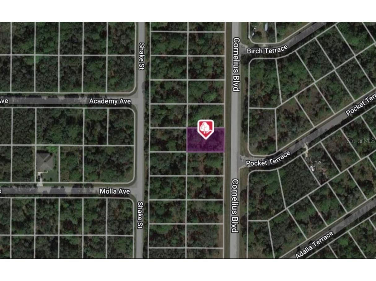 1323 Cornelius Boulevard Port Charlotte FL 33953 C7493587 image1