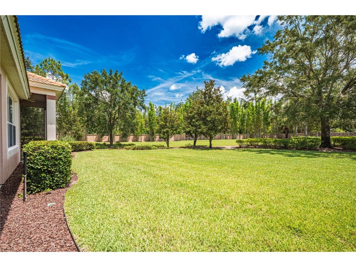 1323 Gilford Point Lane #0 Davenport FL 33896 O6360012 image45