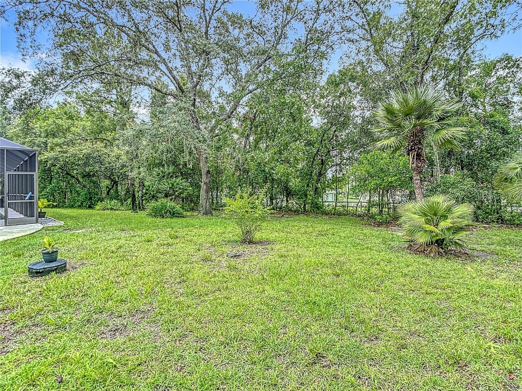 1323 N Annapolis Avenue Hernando FL 34442 W7877349 image74