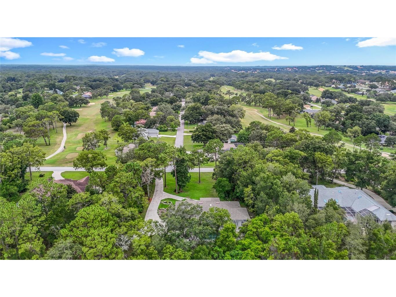 1323 N Annapolis Avenue Hernando FL 34442 W7877349 image79