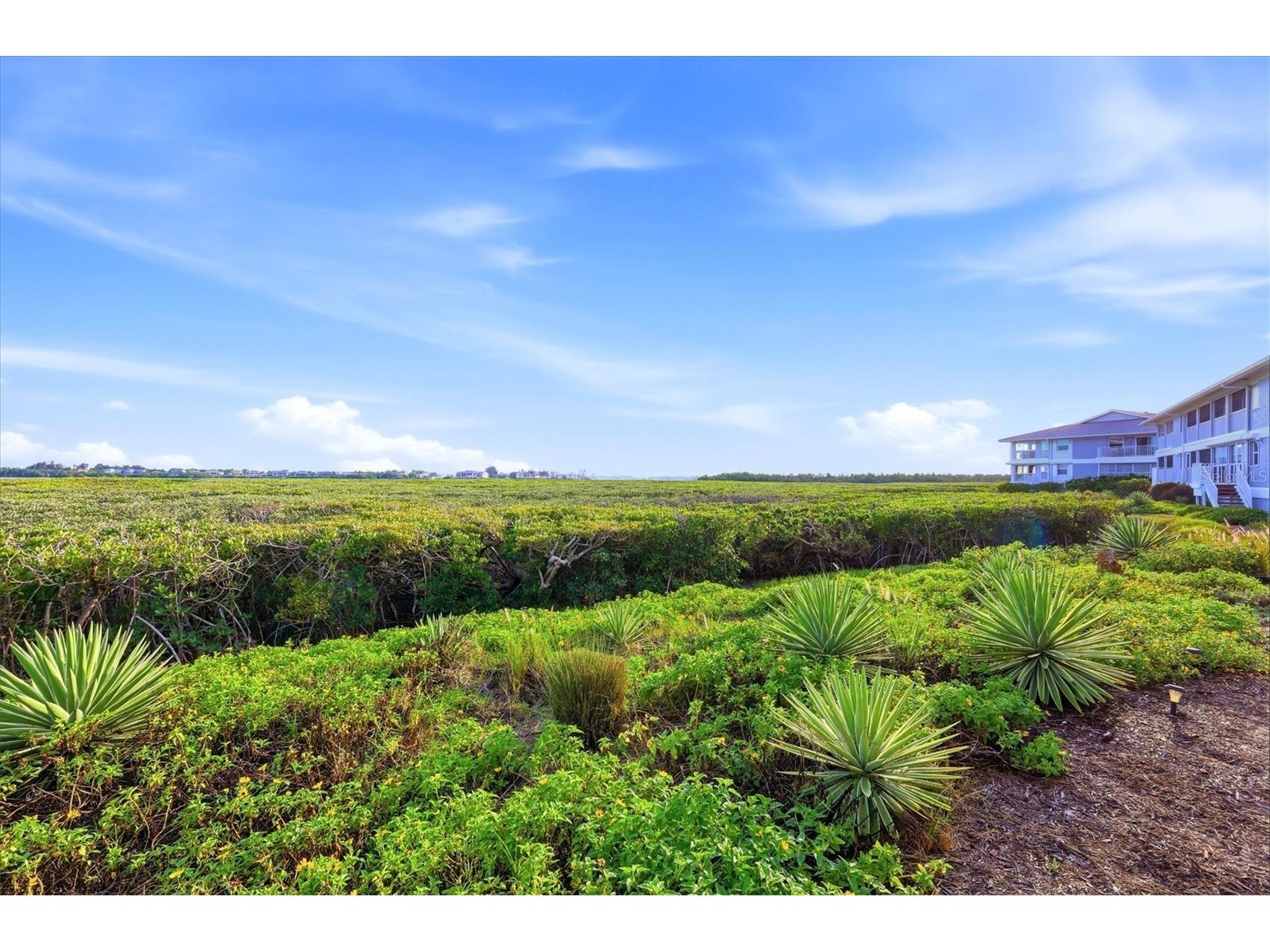 1323 Perico Point Circle #107 Bradenton FL 34209 A4687831 image39