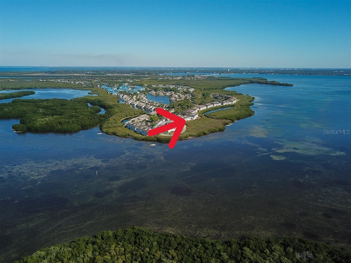1323 Perico Point Circle #107 Bradenton FL 34209 A4687831 image4