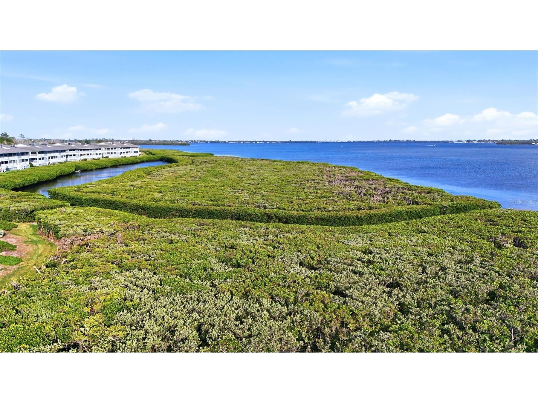 1323 Perico Point Circle #107 Bradenton FL 34209 A4687831 image51