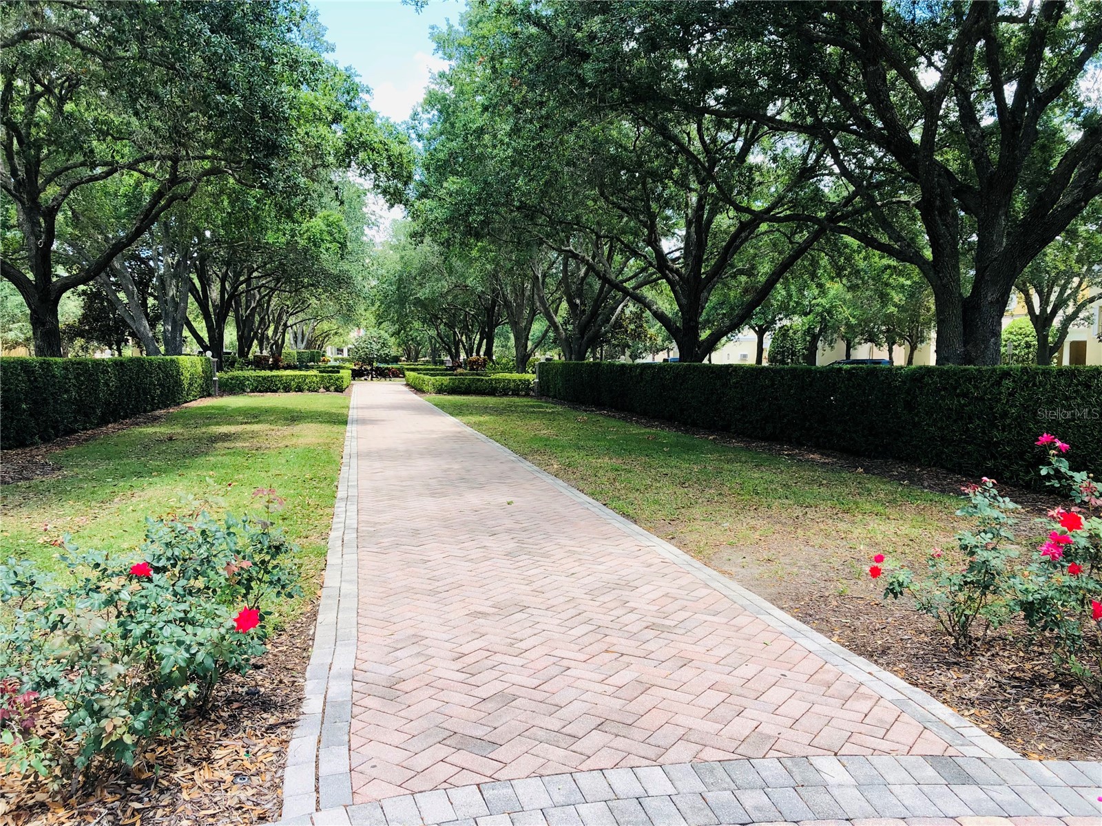 1323 Seven Eagles Court #202 Reunion FL 34747 S5152362 image37