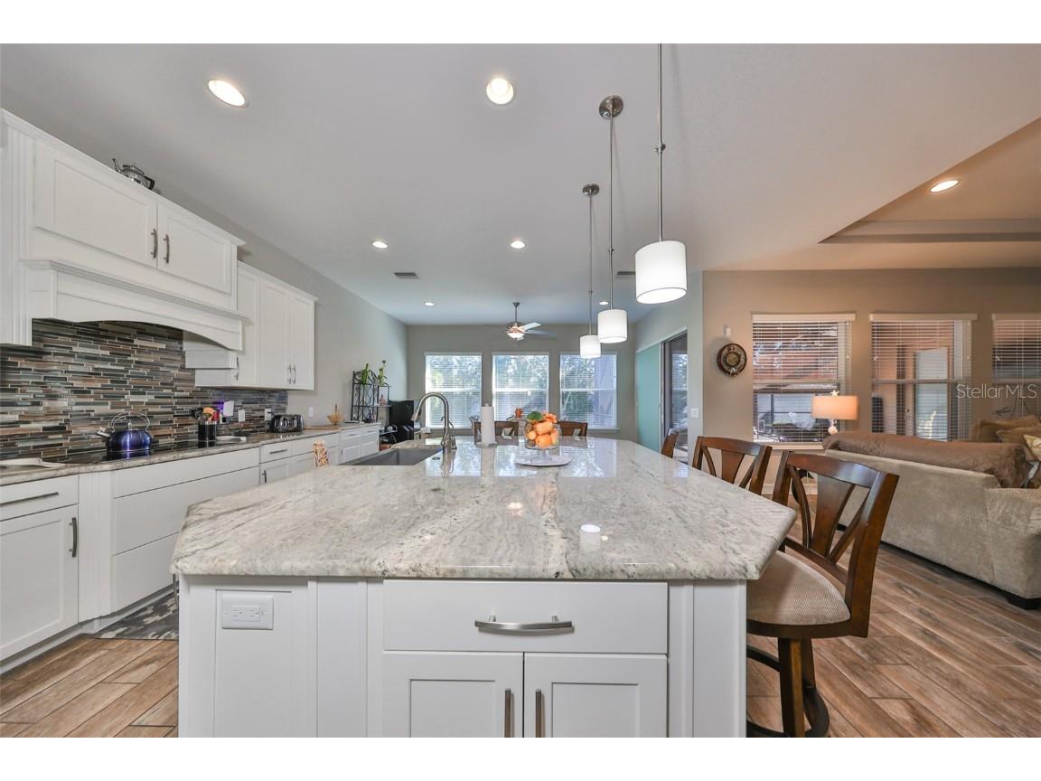 13230 Fawn Lily Drive Riverview FL 33579 TB8427580 image16