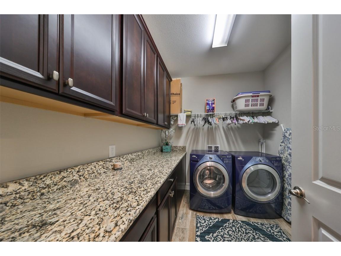 13230 Fawn Lily Drive Riverview FL 33579 TB8427580 image30