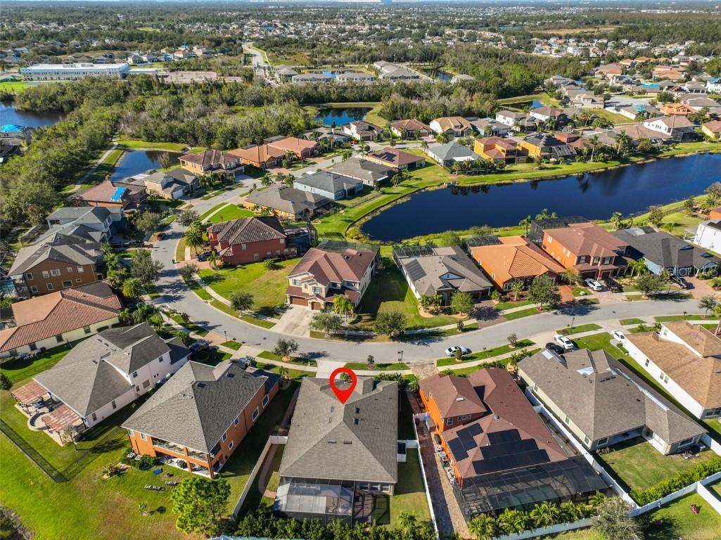 13230 Fawn Lily Drive Riverview FL 33579 TB8427580 image57