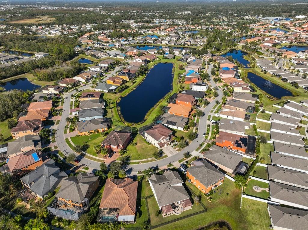 13230 Fawn Lily Drive Riverview FL 33579 TB8427580 image59