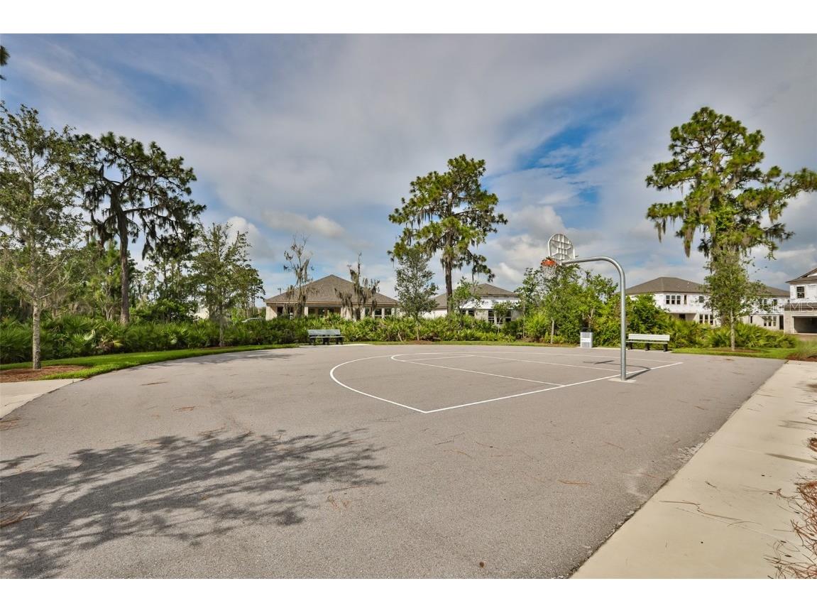 13230 Fawn Lily Drive Riverview FL 33579 TB8427580 image62