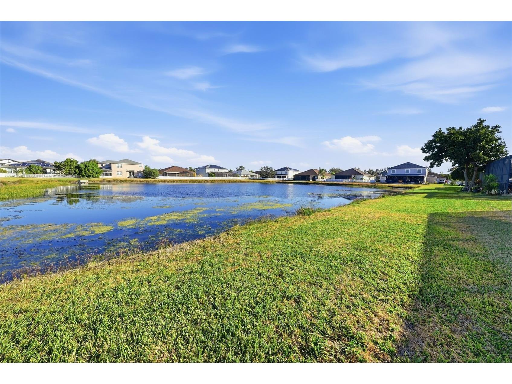 13230 Graham Yarden Drive Riverview FL 33579 TB8471051 image39