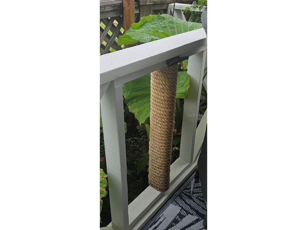 13230 Jacaranda Lane Hudson FL 34667 TB8418454 image64