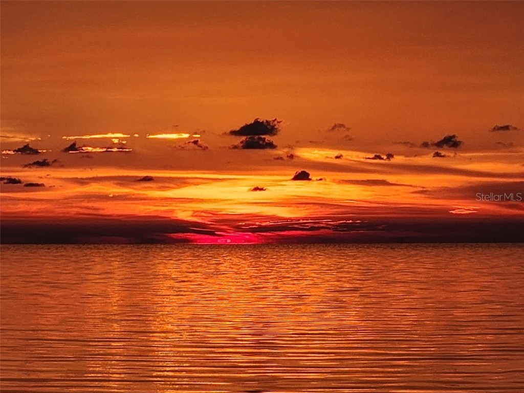 13230 Jacaranda Lane Hudson FL 34667 TB8418454 image84