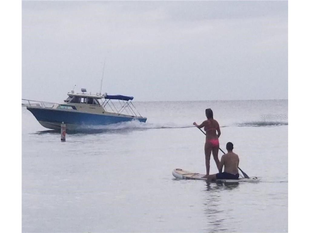 13230 Jacaranda Lane Hudson FL 34667 TB8418454 image94