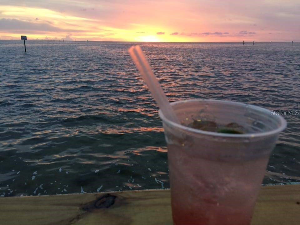 13230 Jacaranda Lane Hudson FL 34667 TB8418454 image95