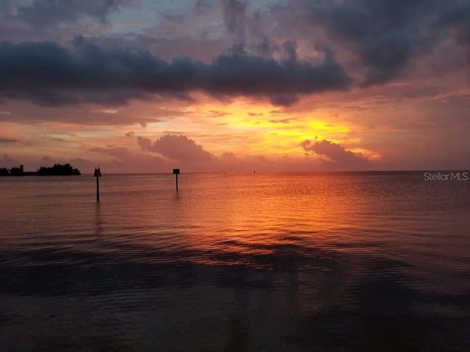 13230 Jacaranda Lane Hudson FL 34667 TB8418454 image98