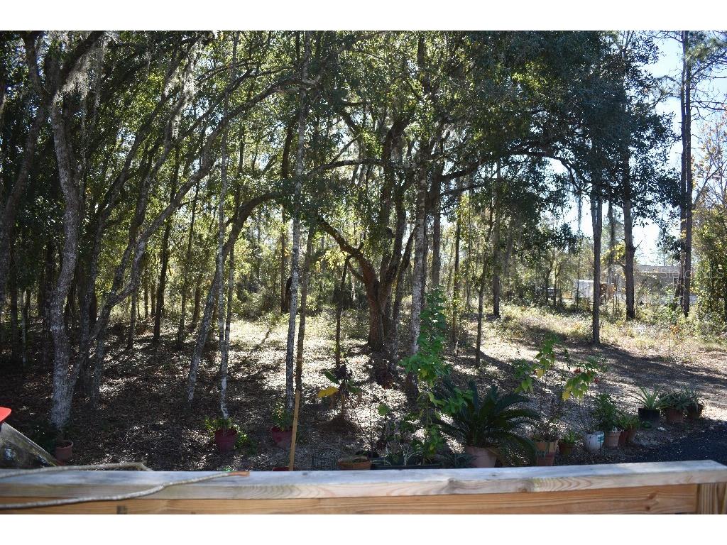 13230 NE 9th Street Williston FL 32696 TB8456215 image35