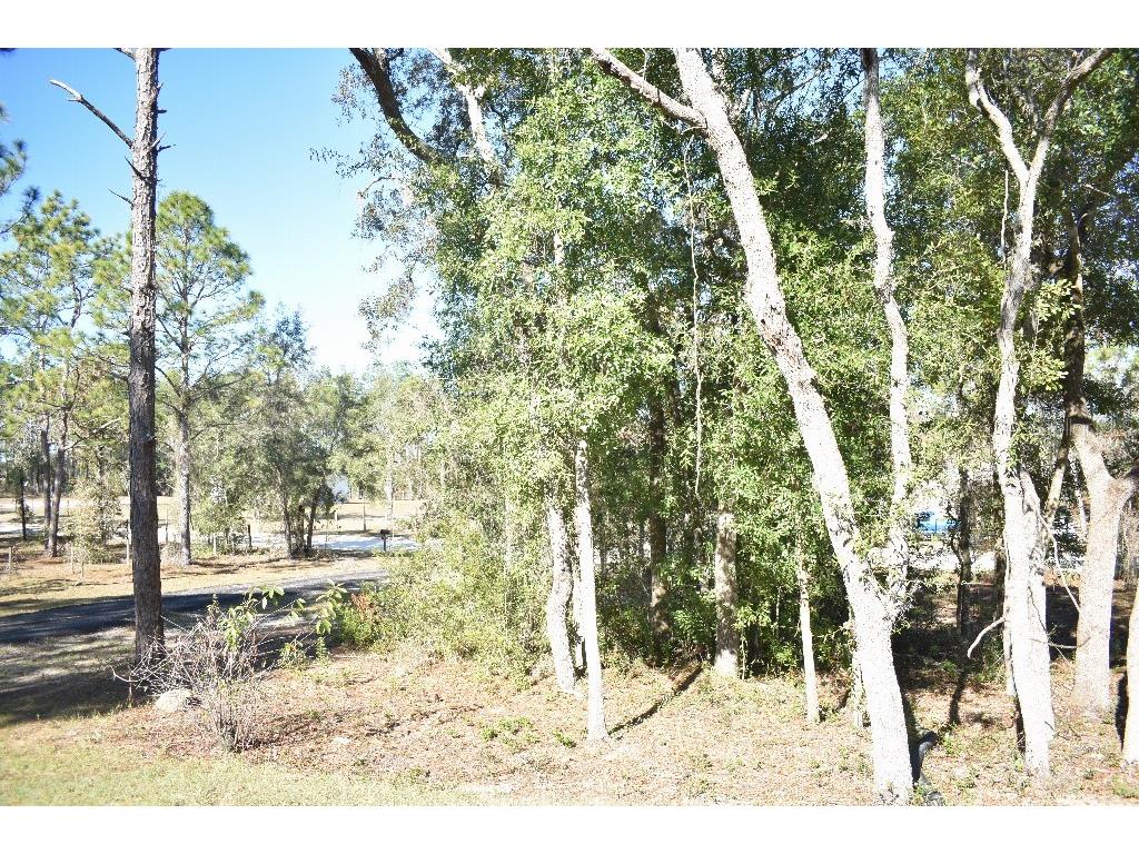 13230 NE 9th Street Williston FL 32696 TB8456215 image47