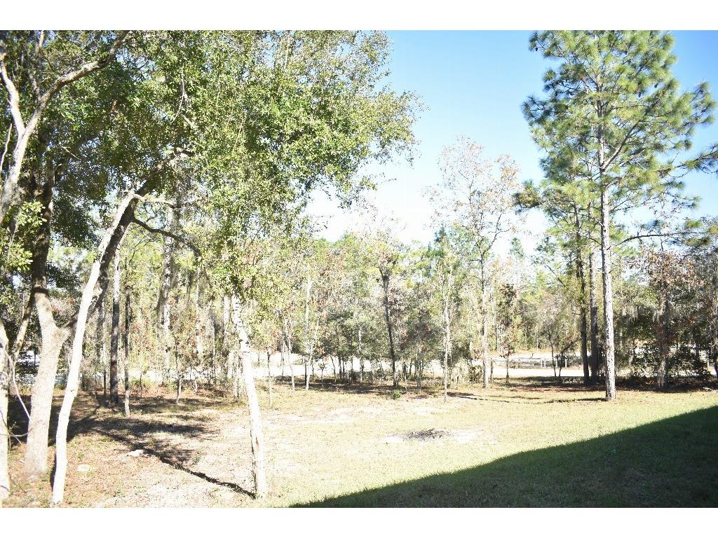 13230 NE 9th Street Williston FL 32696 TB8456215 image48