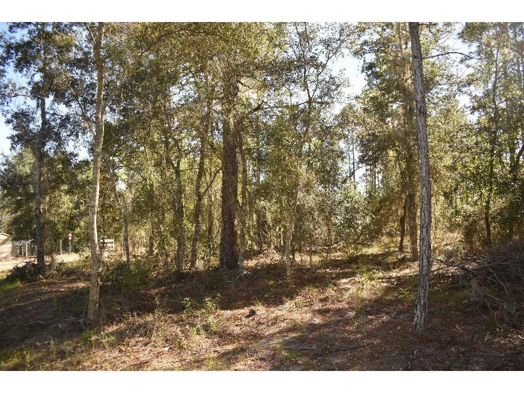 13230 NE 9th Street Williston FL 32696 TB8456215 image56