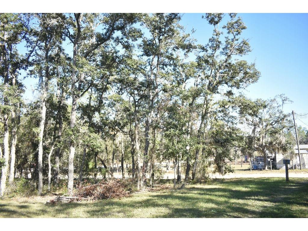 13230 NE 9th Street Williston FL 32696 TB8456215 image57