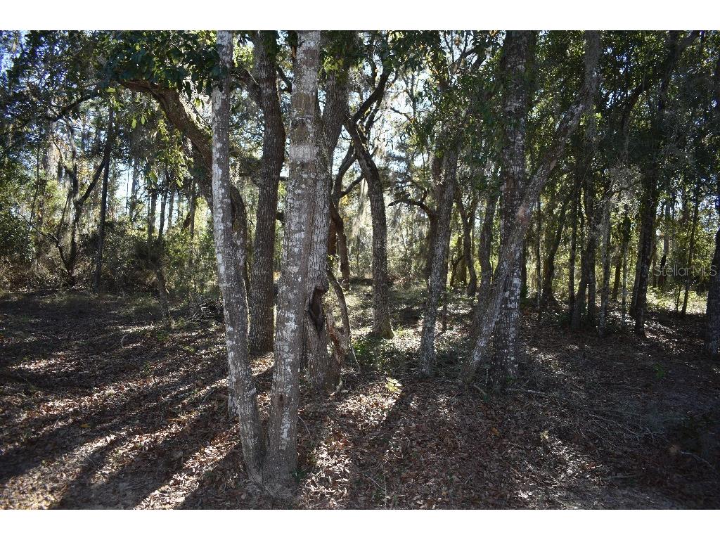 13230 NE 9th Street Williston FL 32696 TB8456215 image60