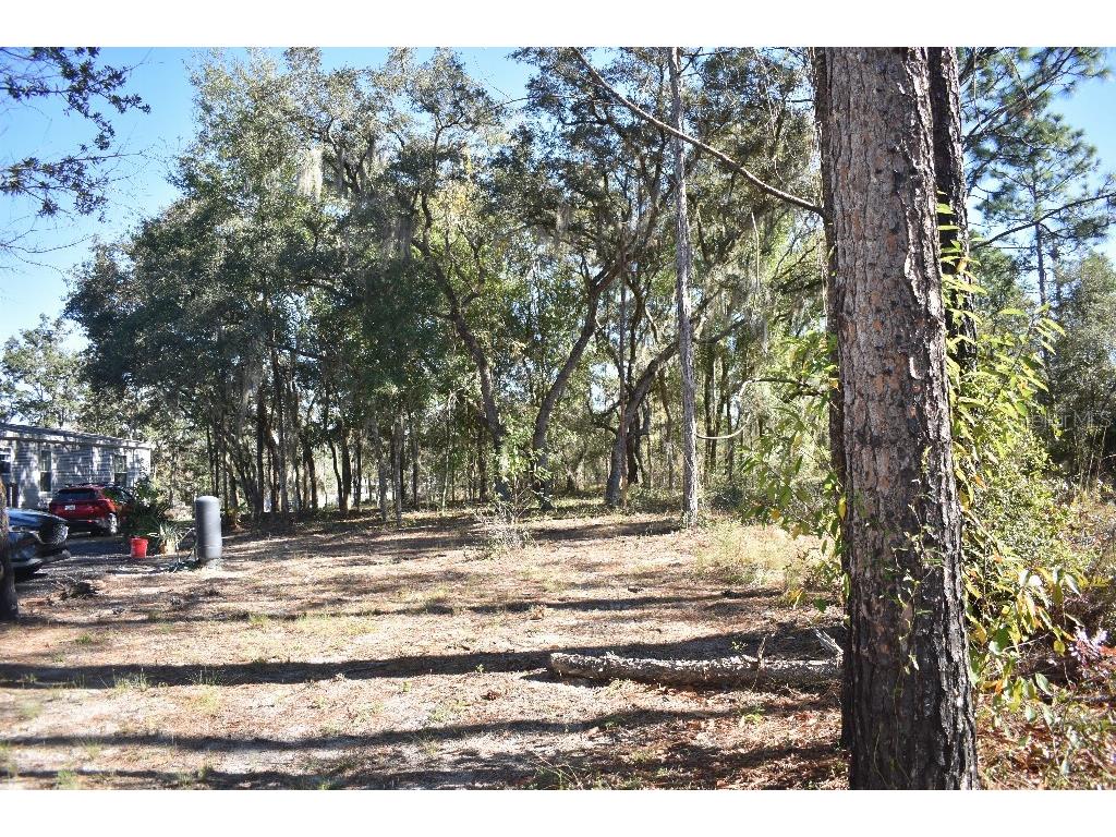 13230 NE 9th Street Williston FL 32696 TB8456215 image65