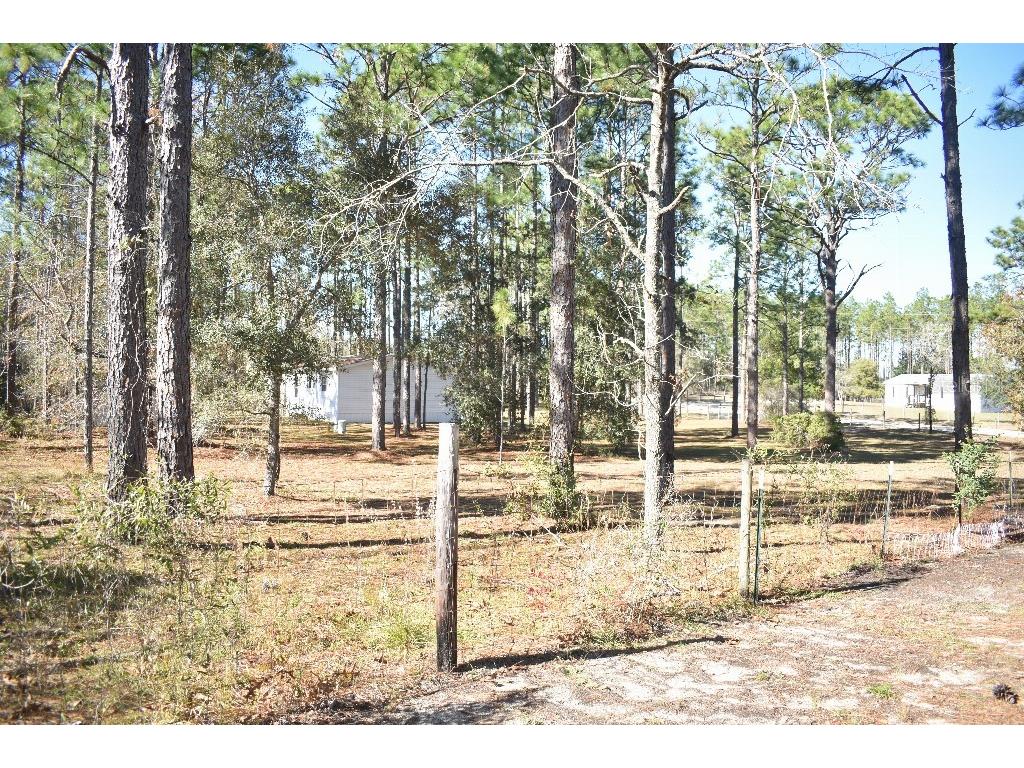 13230 NE 9th Street Williston FL 32696 TB8456215 image67