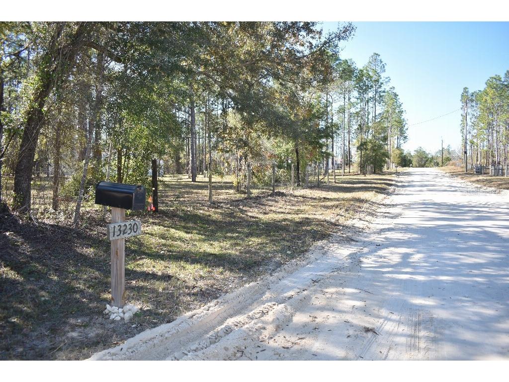 13230 NE 9th Street Williston FL 32696 TB8456215 image72