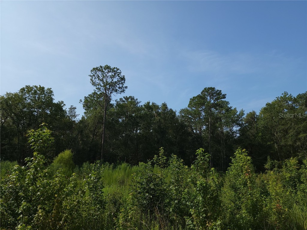 13230 SW 18th Street Road Ocala FL 34481 OM661385 image1