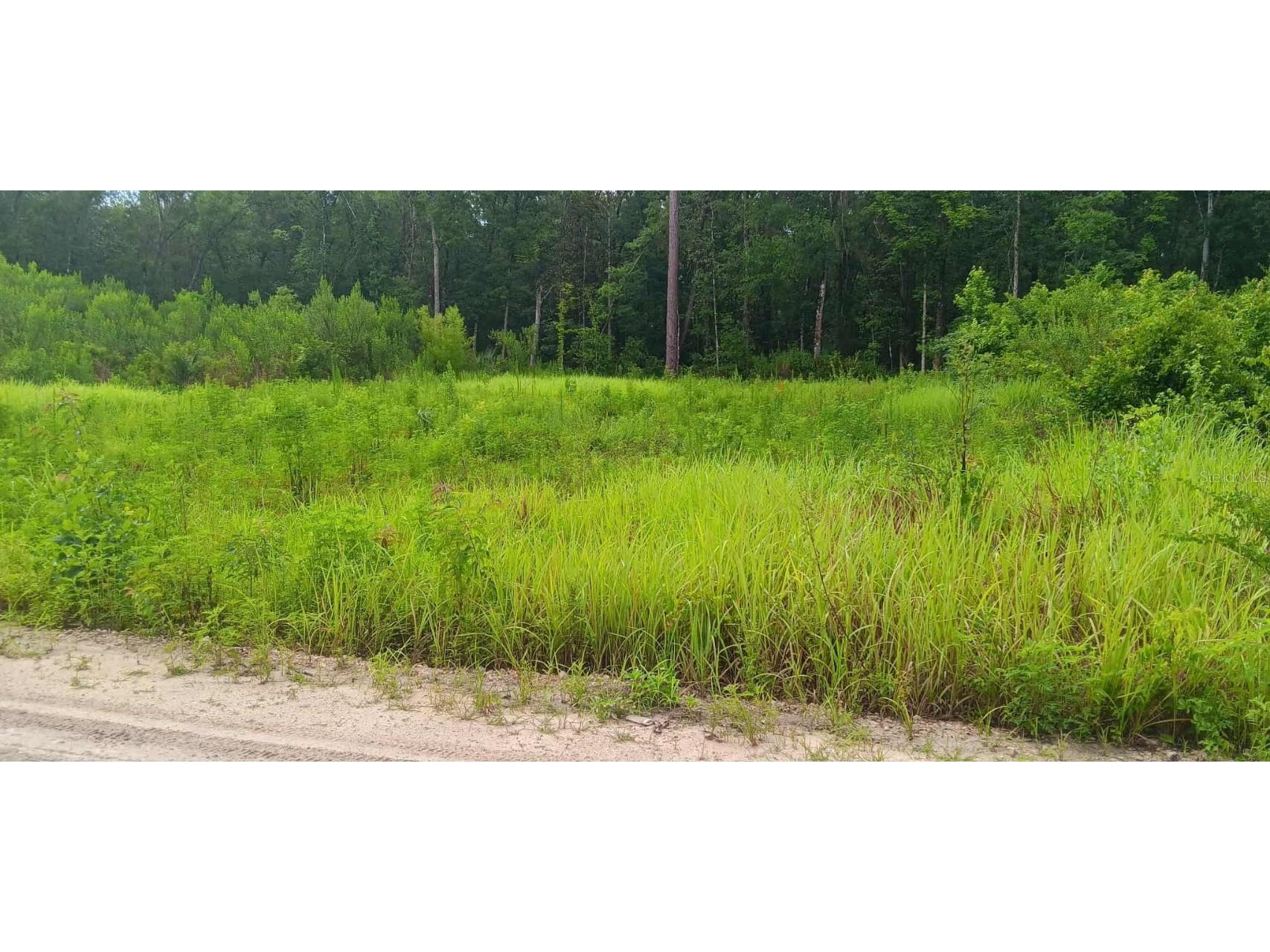 13230 SW 18th Street Road Ocala FL 34481 OM703090 image5