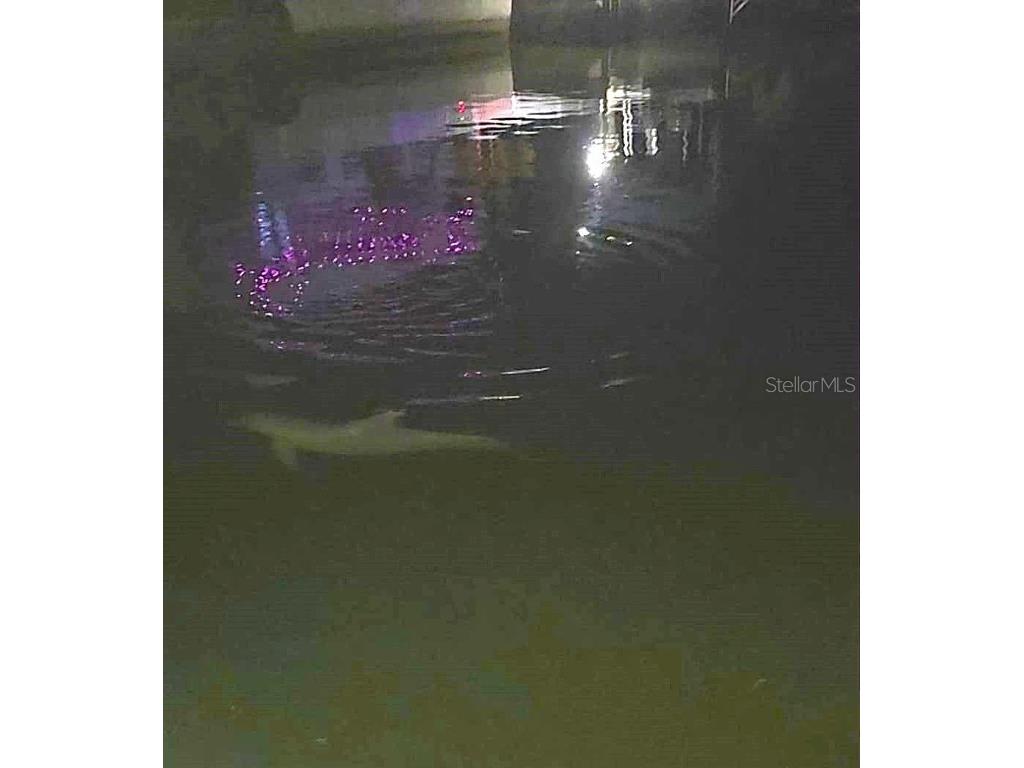 13231 Carol Drive Hudson FL 34667 - GULF OF AMERICA W7880867 image10