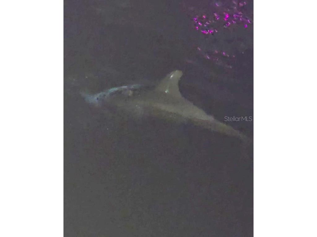 13231 Carol Drive Hudson FL 34667 - GULF OF AMERICA W7880867 image11